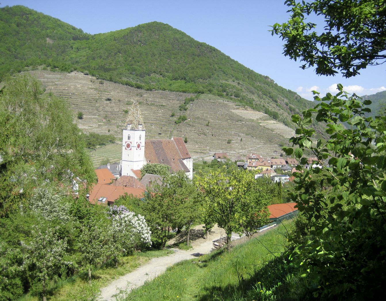 p1096-donau-spitz