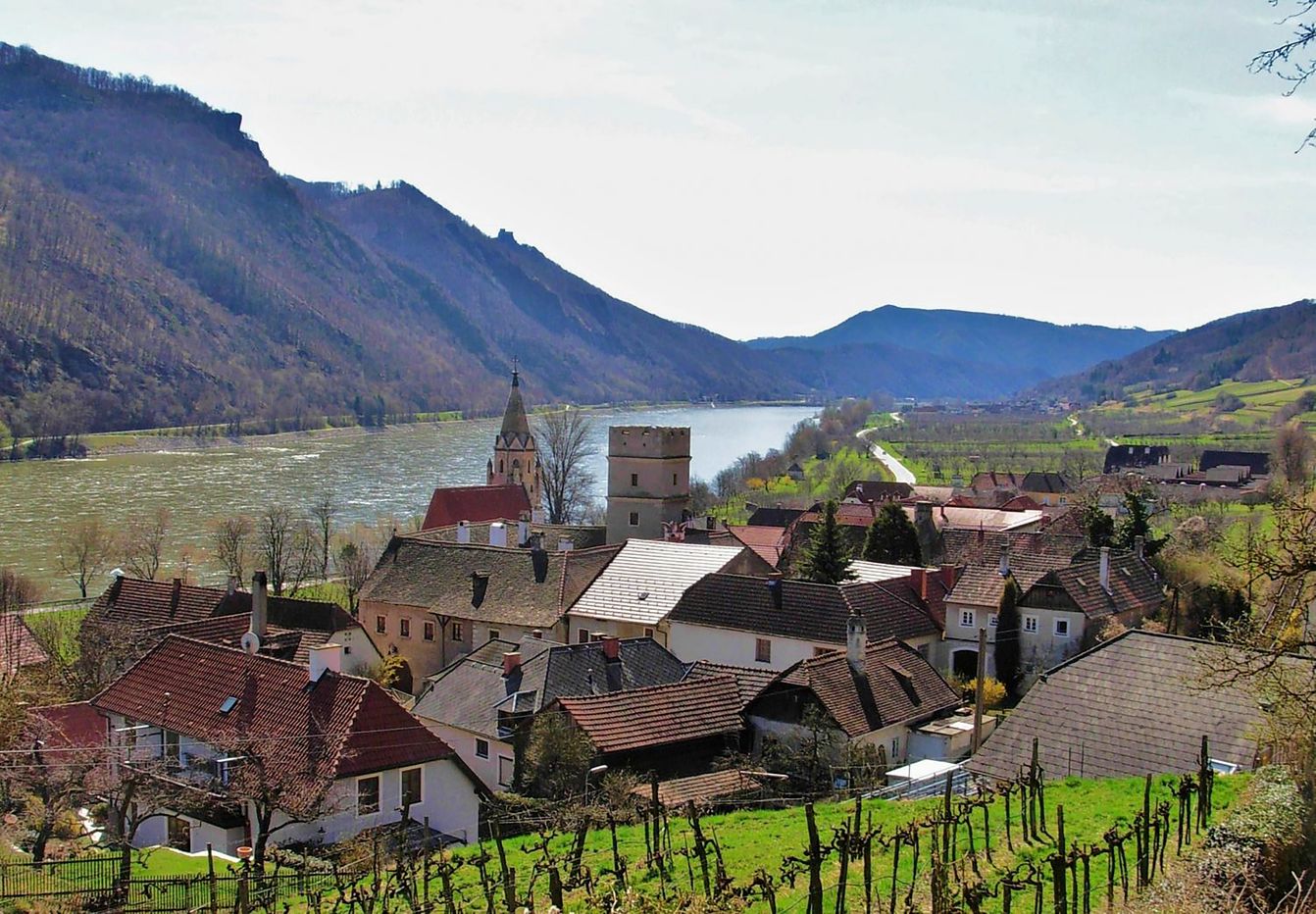 p1096-donau-spitz