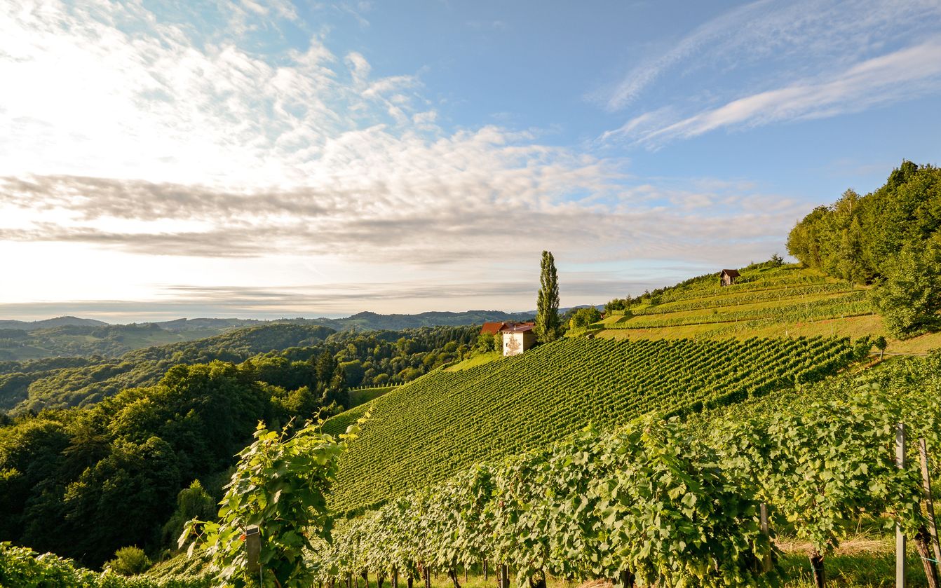 p1096-donau-spitz