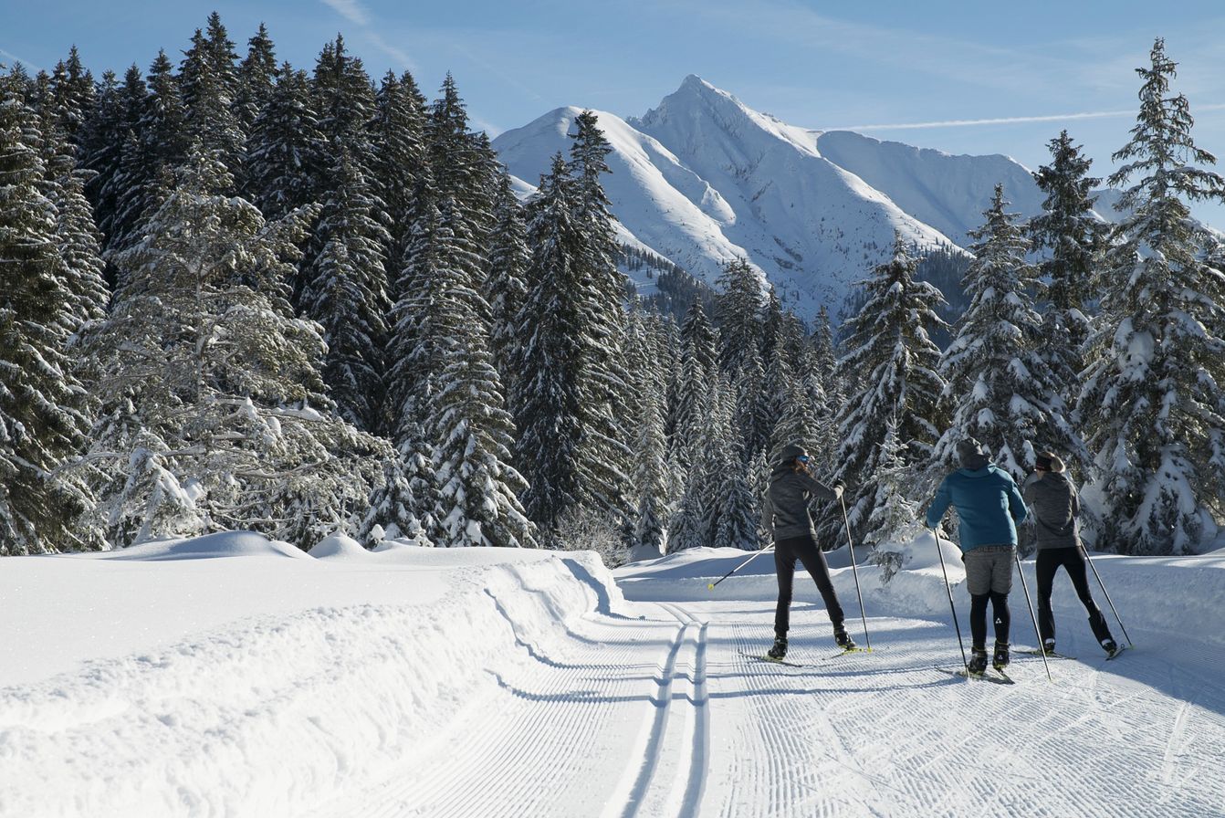 p1100-alpenparks-montana-matrei